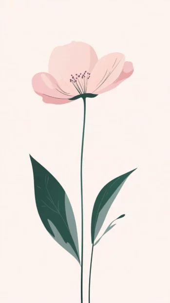 Minimalist flower wallpaper, Minimalist illustration of single Pretty Flower in soft light.