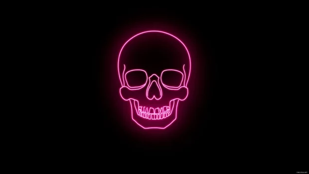 Minimalist glowing neon skull silhouette, Minimalist neon skull wallpaper.
