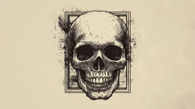 Minimalist skull graphic framed in rounded square tiles.