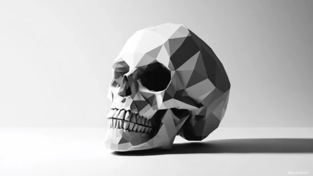 Monochrome skull with geometric cuts and overlapping shadows.