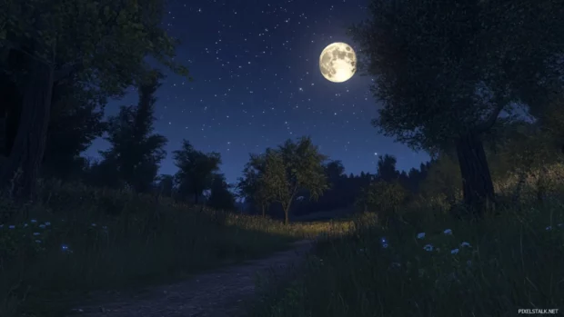 Moonlight illuminates a silent woodland clearing beneath a starlit sky.