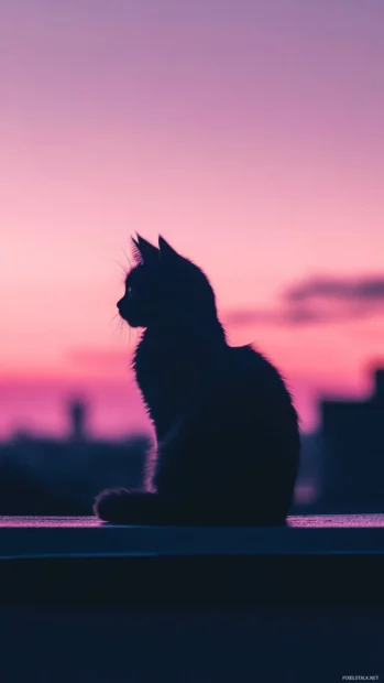 Neon cat silhouette shining on rooftop.
