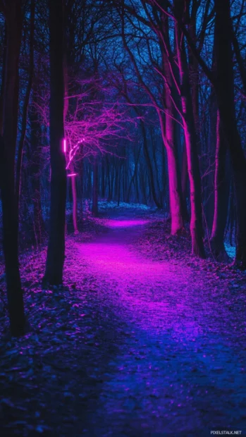 Neon trees growing along forgotten path.
