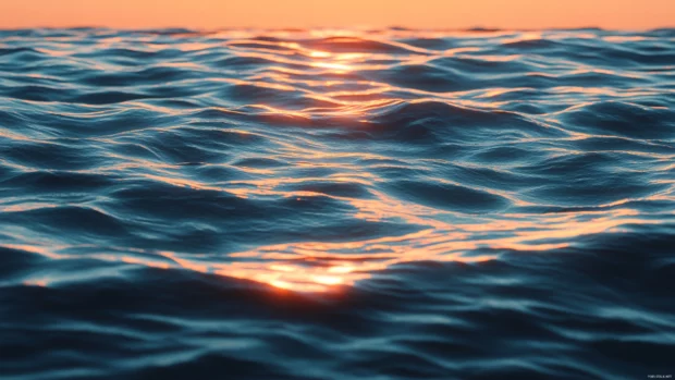 Ocean sunrise reflecting on gentle waves, perfect for ocean beach backgrounds for PC.