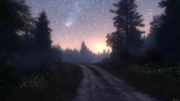 Old roads fading into star drenched mists.