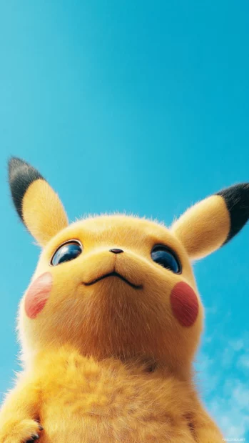 On this Pikachu Phone Wallpapers, Pikachu looks up toward the top of the frame on a clean sky blue background.