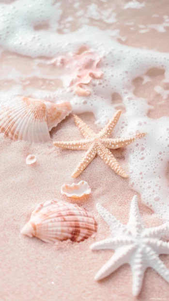Pastel summer themes blending light beach motifs with cute minimalist details for an airy, aesthetic background.