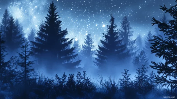Peaceful forest beneath a starry night sky, the stars glowing brightly above tall pine trees, with a soft mist in the air creating a mystical ambiance.