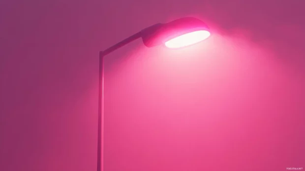 Pink neon street lamp shining through heavy fog.