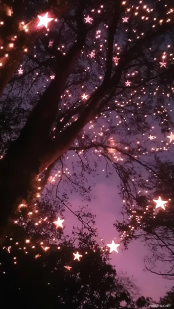 Pink stars filling the night with magic.