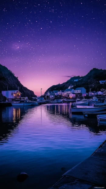 Pink stars shimmering above a sleepy harbor.