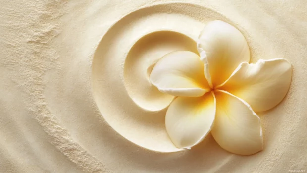 Plumeria blossom spiral on sandy textured paper effect.