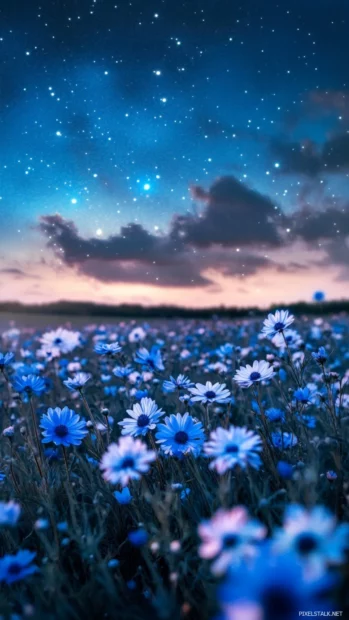 Pretty Flower fields shimmering under starlit sky.