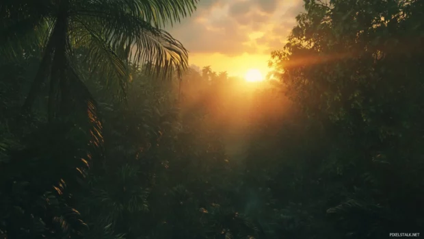 Pretty Sunset peeking through dense jungle.