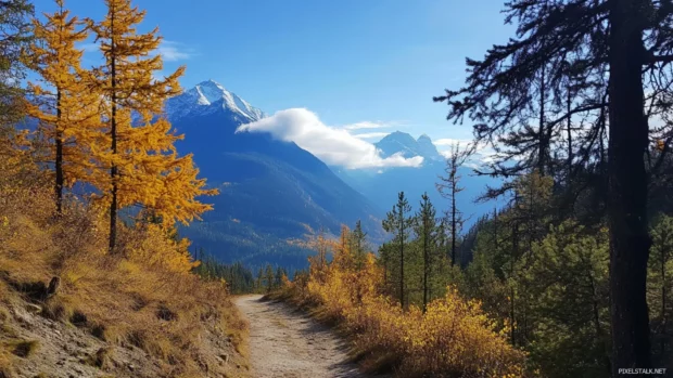 Pretty autumn trees framing a peaceful mountain trail.
