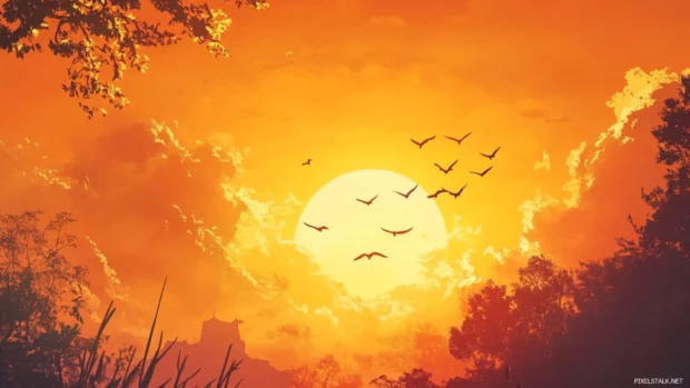 Pretty flocks of birds crossing an orange sky.
