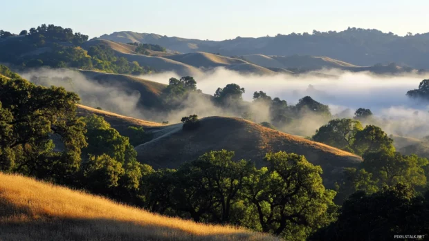 Pretty hills rolling into the evening mist.