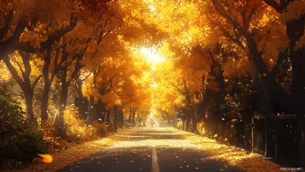 Pretty narrow lanes under arching golden trees.