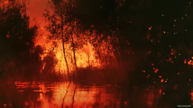 Pretty reflections of fiery trees on a pond.