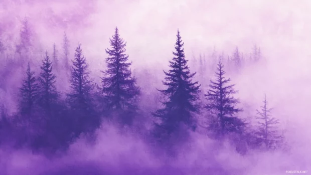 Purple haze fog over pine trees.