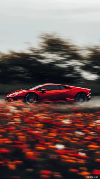 Red Lamborghini driving past fields of flowers in vertical blur.