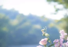 Romantic scene of Pretty Flower bouquet by the river, Romantic floral wallpaper.