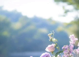 Romantic scene of Pretty Flower bouquet by the river, Romantic floral wallpaper.