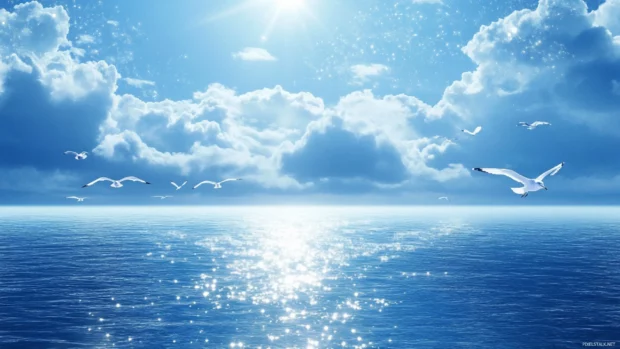 Seagulls flying over the shimmering Beautifull Ocean.