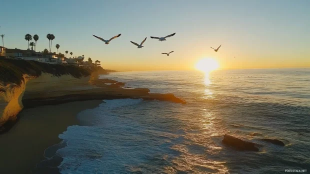 Seagulls soaring across Pretty Sunset beach.