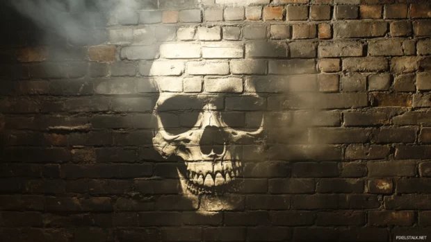 Skull projected in shadow onto foggy brick wall.