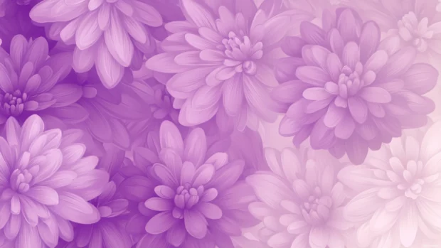 Soft gradient with purple chrysanthemums, high quality Purple Floral PC Wallpapers.