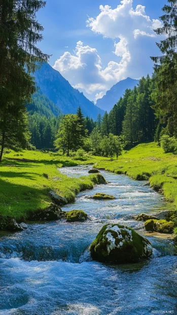 Sparkling pretty river flowing through green meadow.