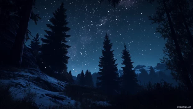 Starry night vivid, sparkling stars scattered sky, tall pine trees silhouette framing, cozy wilderness feel.