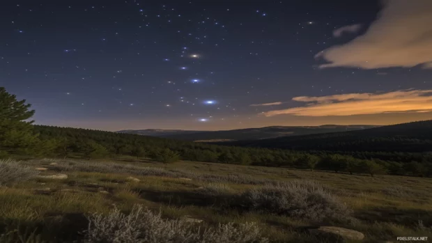 Starry sky awe inspiring, quiet forest over, bright constellations visible, soft clouds drifting, magical dreamy night quality.