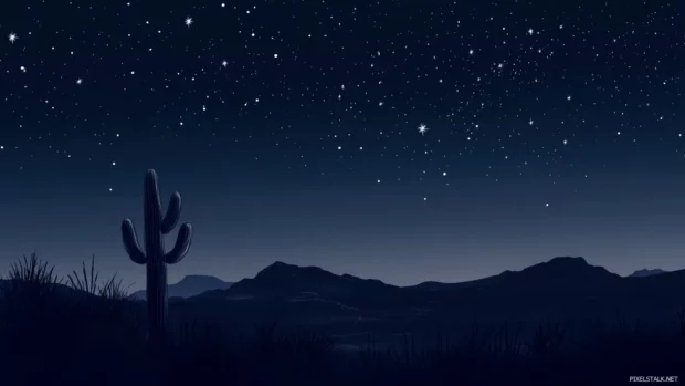 Stars glittering above a lone desert cactus.