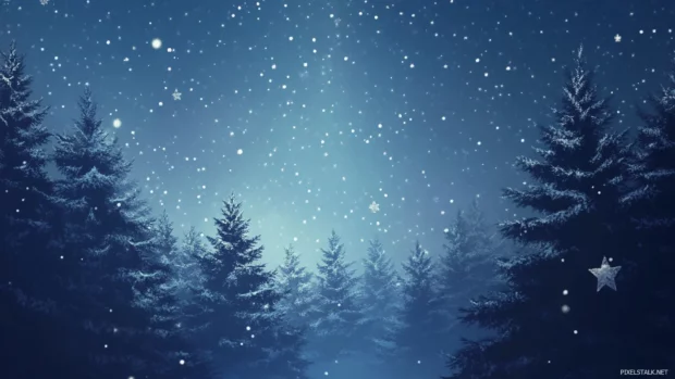Stars peeking through a curtain of pine trees.