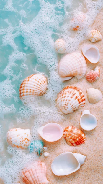 Summer aesthetic iPhone wallpapers blending ocean waves, minimal summer vibes, and pastel shells in a collage.