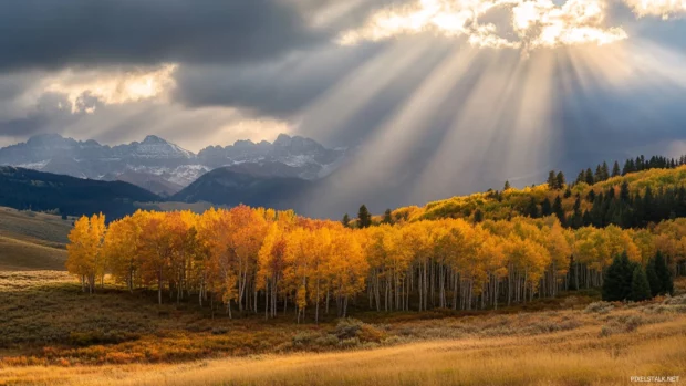 Sunbeams igniting a field of Beautifull fall foliage.