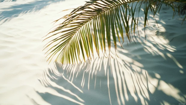 Swaying palm fronds casting delicate shadows on warm sand under the midday sun.