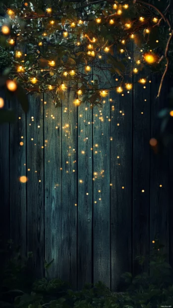 The magic of Summer Vibes is frozen in a snapshot of twinkling fairy lights hung across a wooden fence.