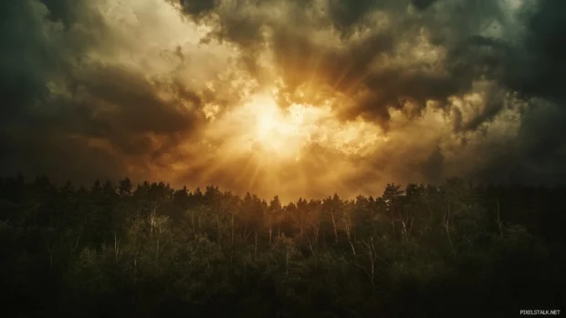 The sun breaks through stormy clouds over a wind swept forest.