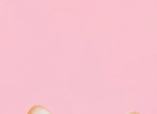 This charming corgi pup with pink cheeks is a must have for cute animal aesthetic wallpaper seekers.