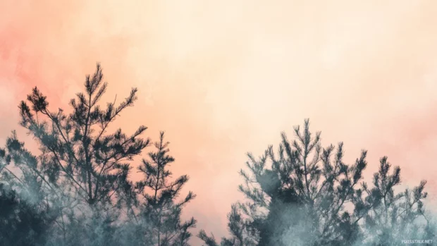 Treetops kissed by first light in subtle Aesthetic Watercolor brush, Clean and Elegant style.