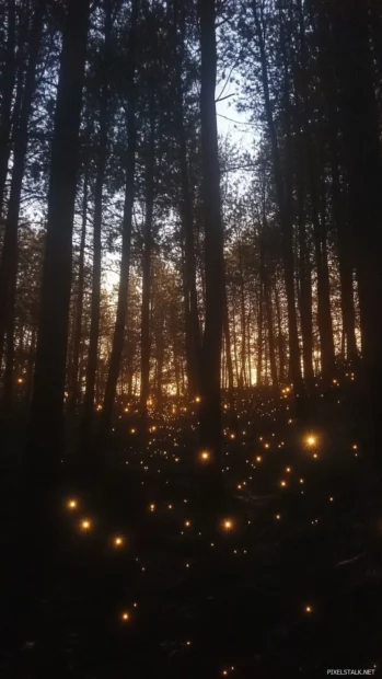 Twilight forests glittering under a million tiny suns, painting the dream of romantic starry sky view.