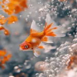 Whimsical scene, vibrant orange white goldfish, gracefully swimming, clear water, bubbles subtle reflections.