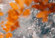 Whimsical scene, vibrant orange white goldfish, gracefully swimming, clear water, bubbles subtle reflections.
