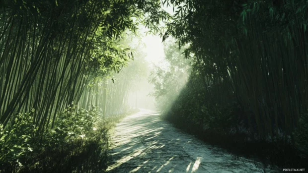 Whispering winds through a Beautifull bamboo forest.
