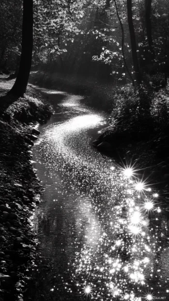 Winding streams reflecting scattered starlight.