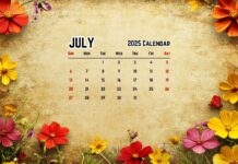 2025 July PC Wallpaper (1).