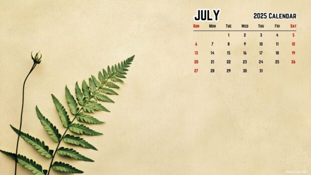 2025 July PC Wallpaper (5).